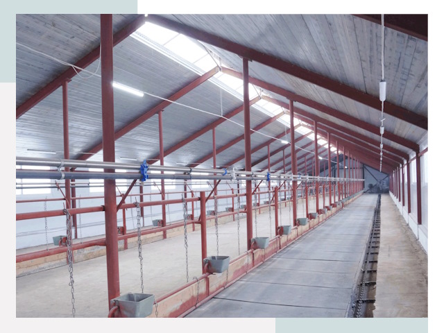 Строительство коровников в Мичуринске от 621 руб.