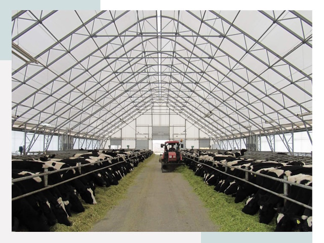 Тентовые коровники в Мичуринске от 621 руб. - Надежно и доступно